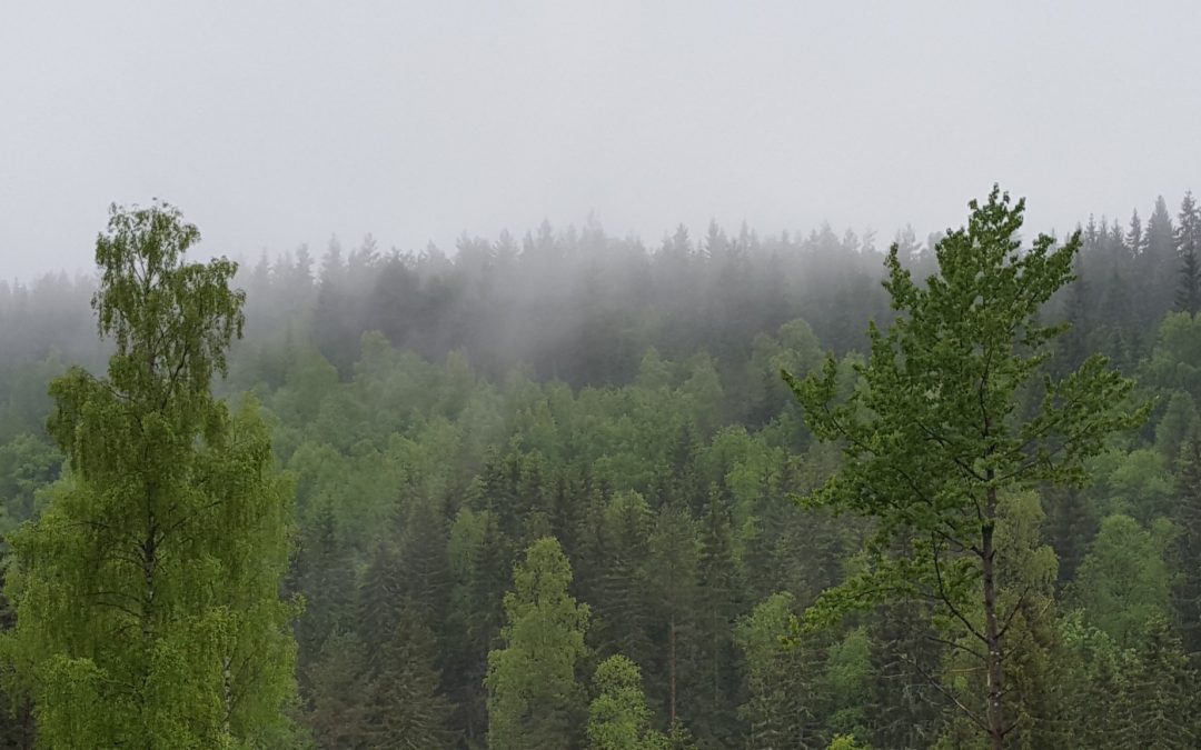 Velkommen til gjennomløping